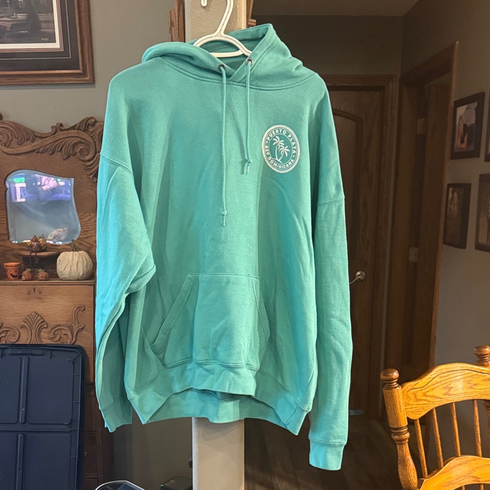 Teal Hoodie with Logo